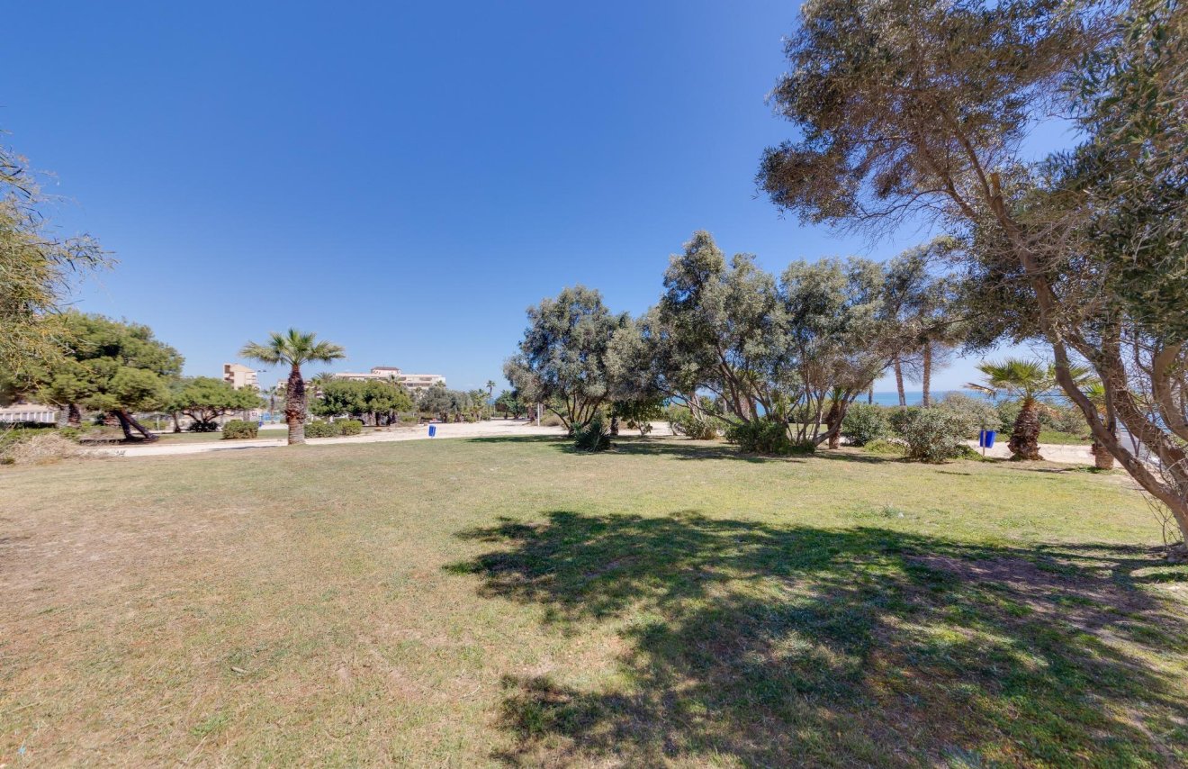 Reventa - Apartamento - Torrevieja - Cabo cervera