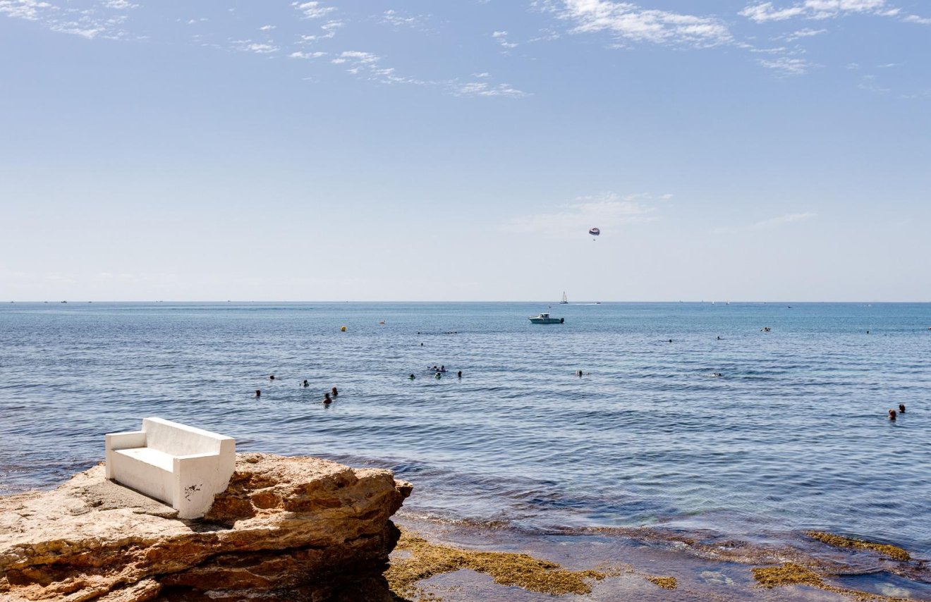 Reventa - Local comercial - Torrevieja - Estacion de autobuses