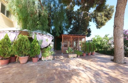 Resale - Nave industrial - Almoradí