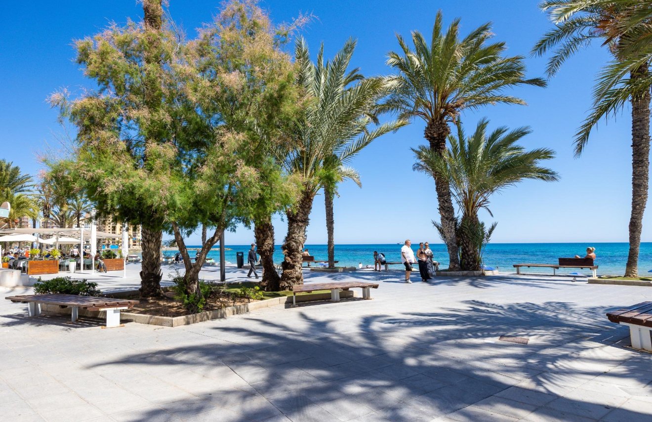 Revente - Attique - Torrevieja - Habaneras