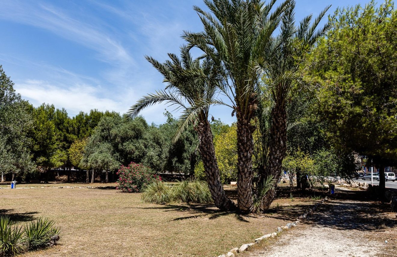 Reventa - Apartamento - Torrevieja - Acequion