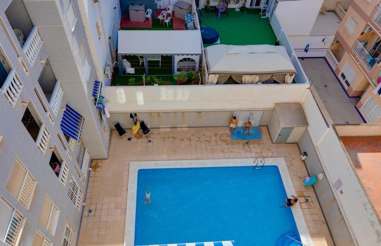 Reventa - Estudio - Torrevieja - Habaneras