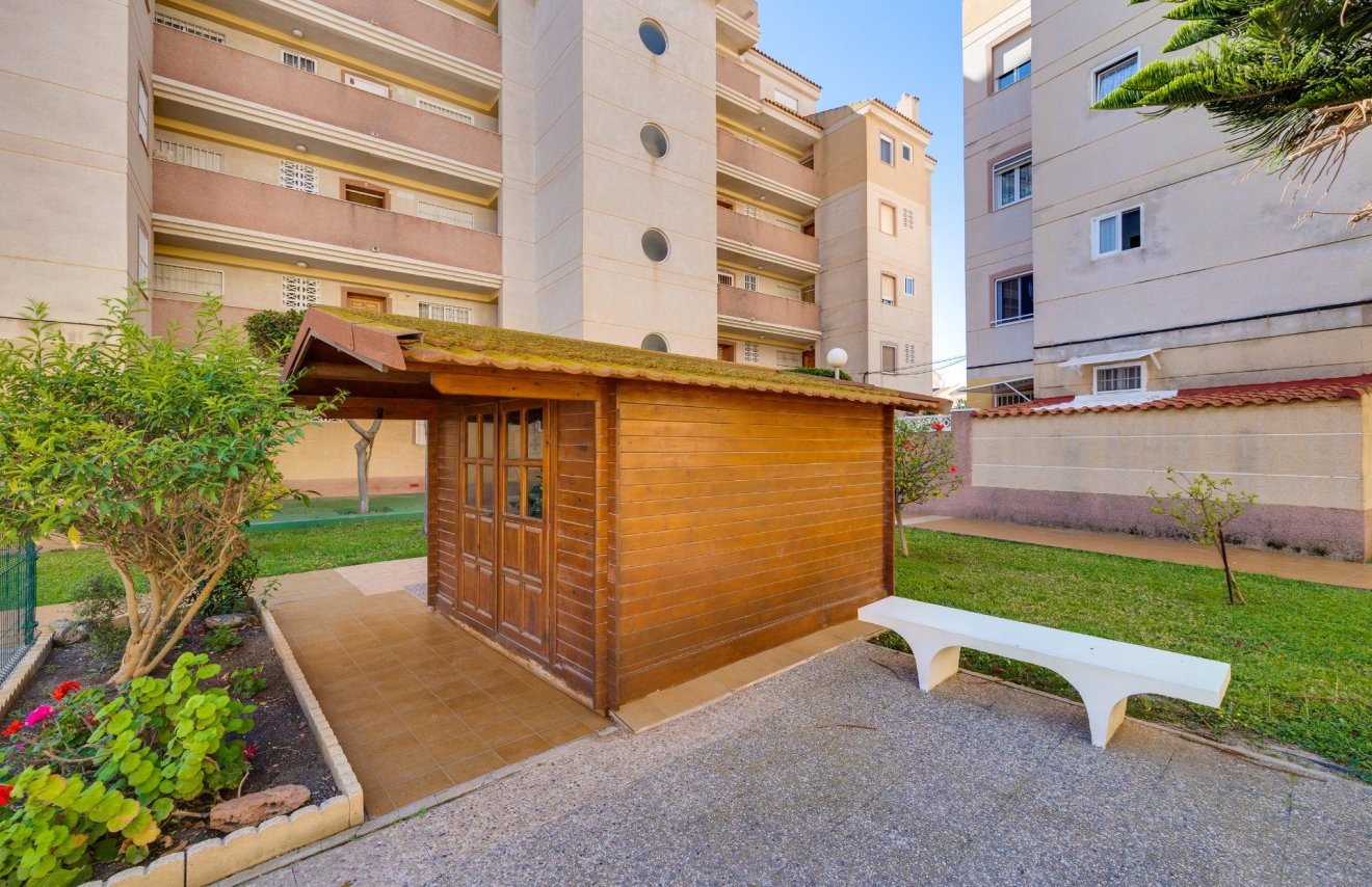 Reventa - Apartamento - Torrevieja - Calas blanca
