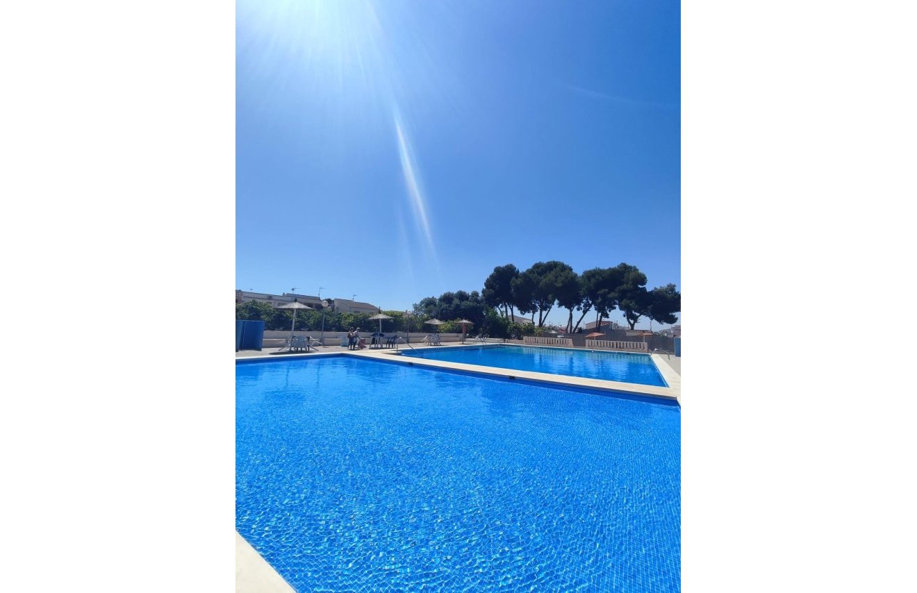 Reventa - Casa Tipo Dúplex - Torrevieja - El limonar