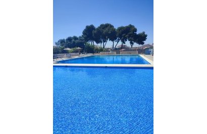 Reventa - Casa Tipo Dúplex - Torrevieja - El limonar