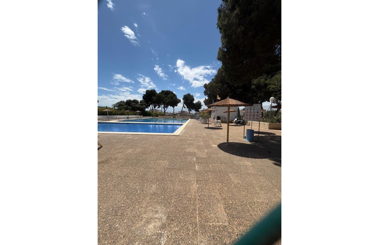 Reventa - Casa Tipo Dúplex - Torrevieja - El limonar