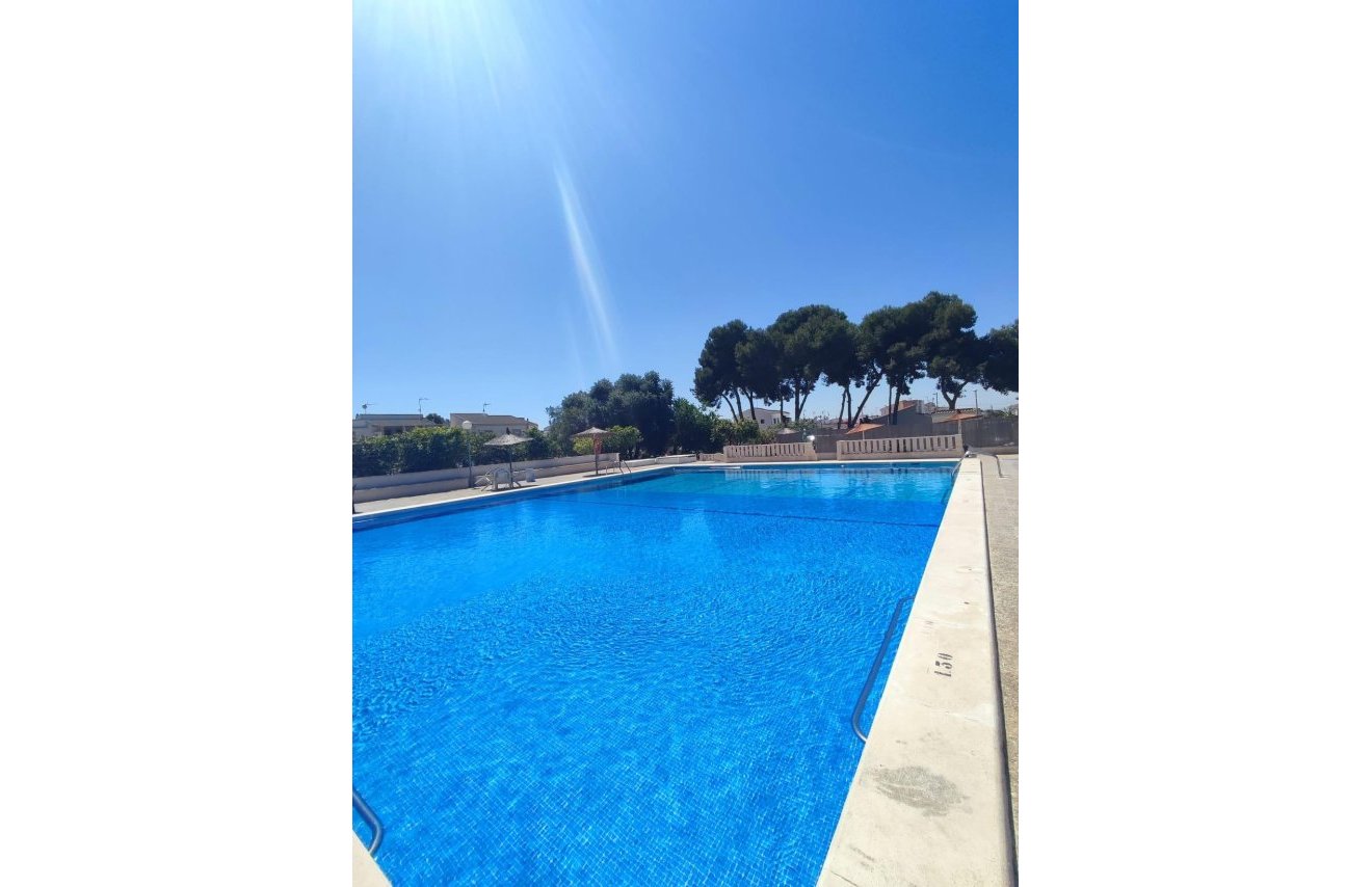 Reventa - Casa Tipo Dúplex - Torrevieja - El limonar