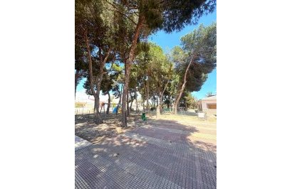 Reventa - Casa Tipo Dúplex - Torrevieja - El limonar