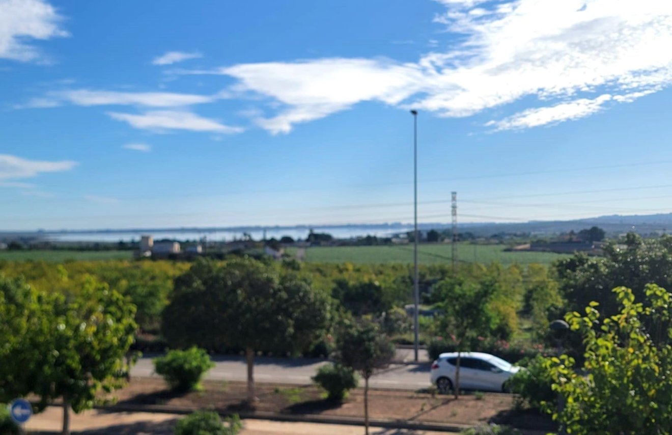 Resale - Townhouse - Los Montesinos - Los Montesinos - Urb. La Herrada