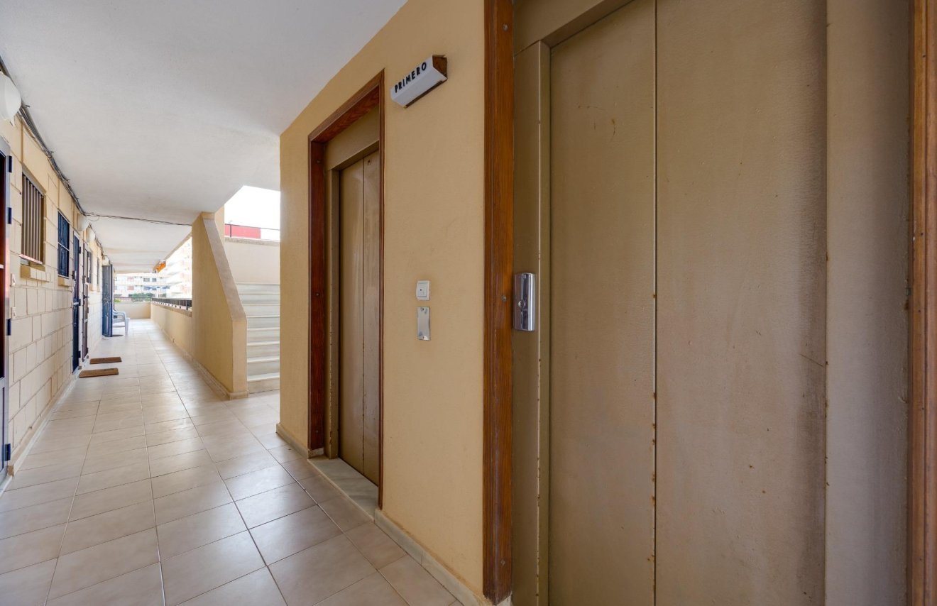 Reventa - Apartamento - Torrevieja - Cabo cervera