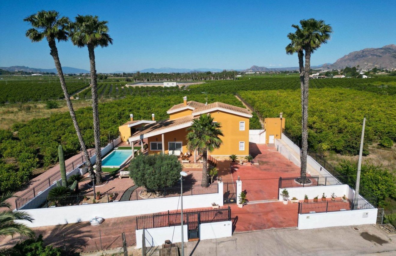 Reventa - Chalet - Orihuela - Orihuela Ciudad
