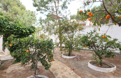 Reventa - Chalet - Torrevieja - Los balcones