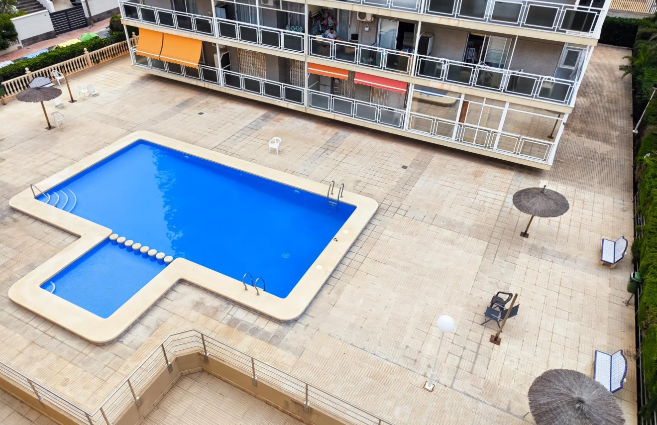 Reventa - Apartamento - Torrevieja - Punta prima