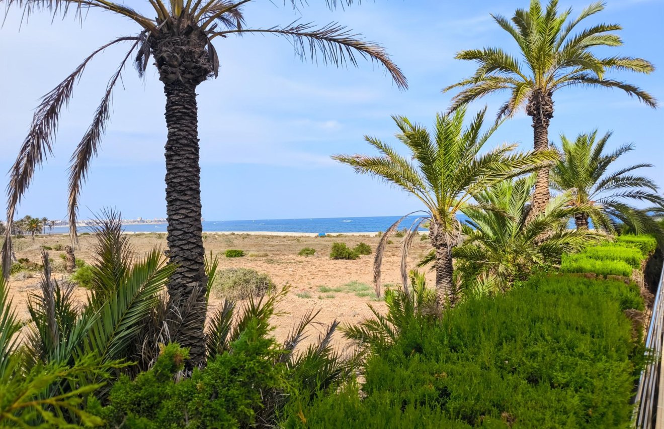 Reventa - Apartamento - Torrevieja - Punta prima