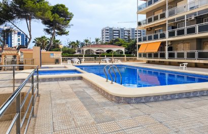 Reventa - Apartamento - Torrevieja - Punta prima