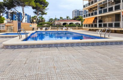 Reventa - Apartamento - Torrevieja - Punta prima