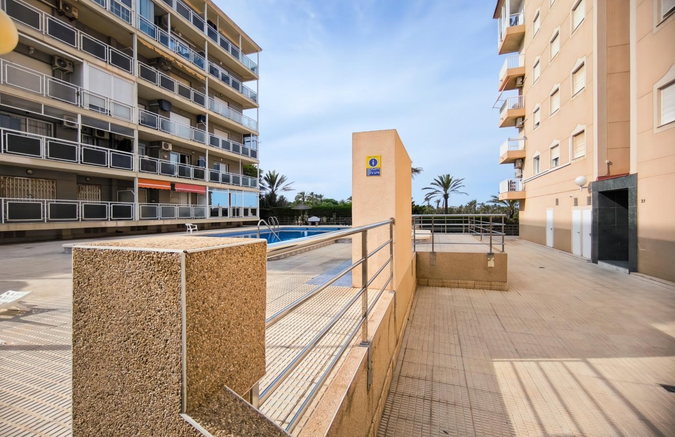 Reventa - Apartamento - Torrevieja - Punta prima