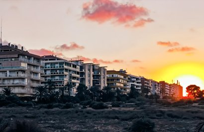 Reventa - Apartamento - Torrevieja - Punta prima