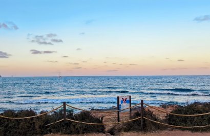 Reventa - Apartamento - Torrevieja - Punta prima