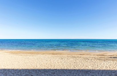 Revente - Planta baja - Torrevieja - La Mata