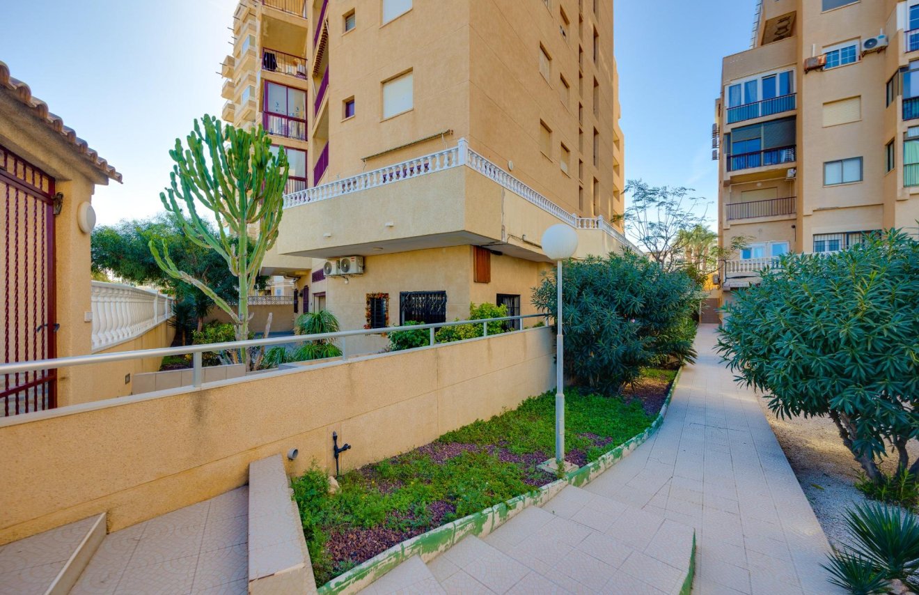 Reventa - Apartamento - Torrevieja - La Mata