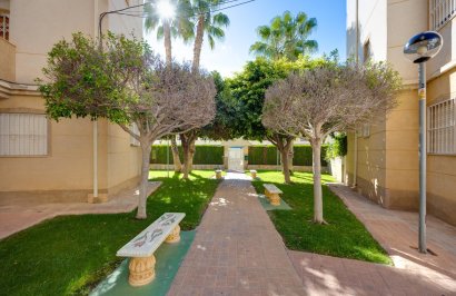 Revente - Planta baja - Torrevieja - Playa de los Locos