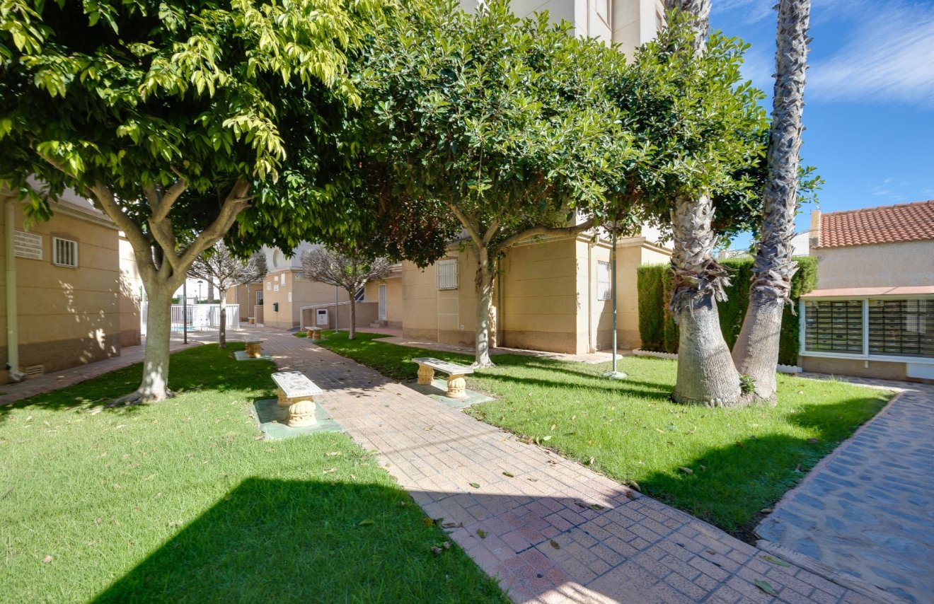 Revente - Planta baja - Torrevieja - Playa de los Locos