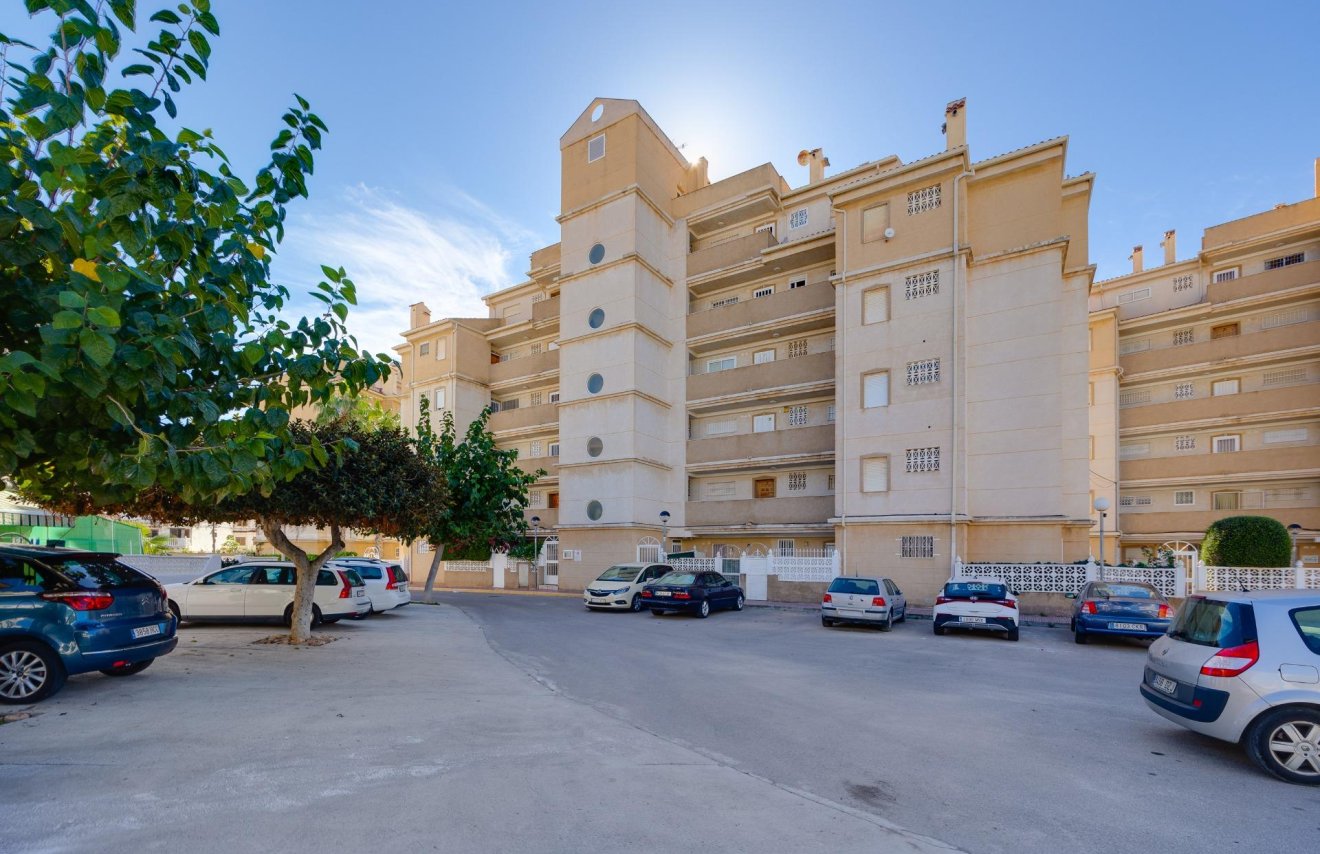 Revente - Planta baja - Torrevieja - Playa de los Locos