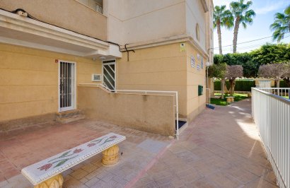 Revente - Planta baja - Torrevieja - Playa de los Locos