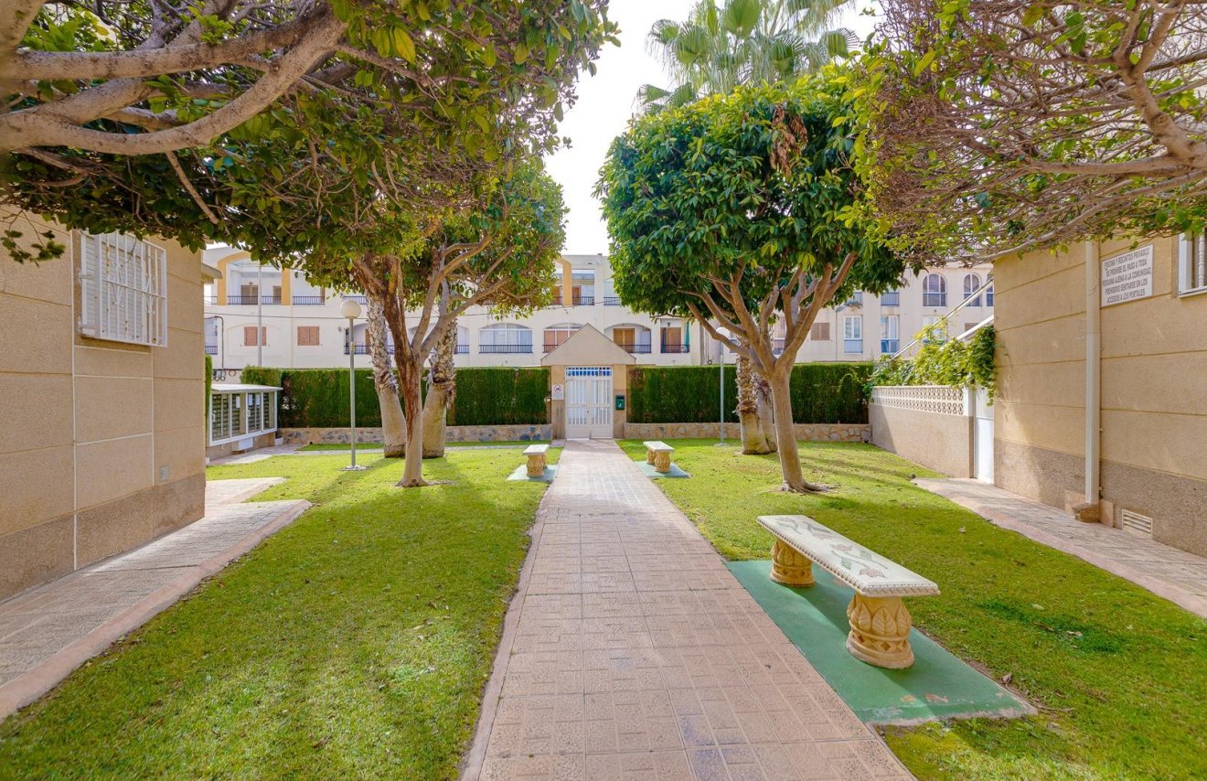 Revente - Planta baja - Torrevieja - Playa de los Locos