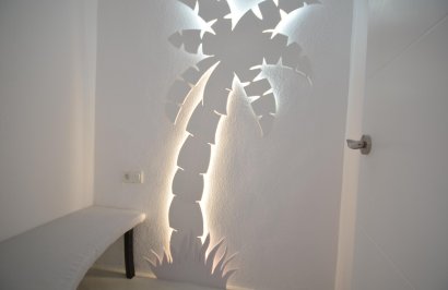 Long Term Rental - Negocio - Ciudad quesada - Lo pepin