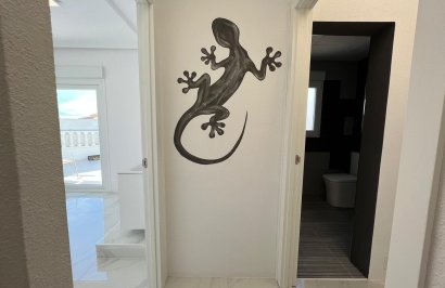 Long Term Rental - Negocio - Ciudad quesada - Lo pepin