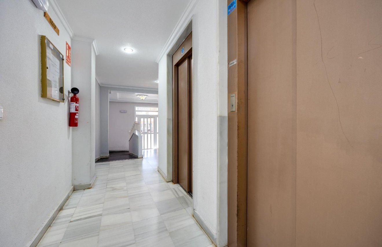Revente - Apartamento - Guardamar del Segura - Pueblo