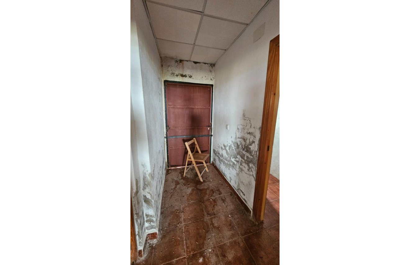 Revente - Finca rústica - Montesinos - LOS MONTESINOS