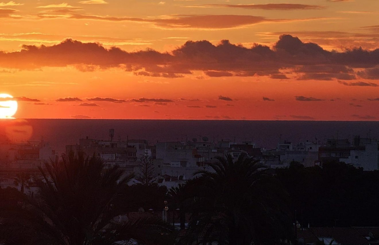 Resale - Piso - Torrevieja - Nueva Torrevieja