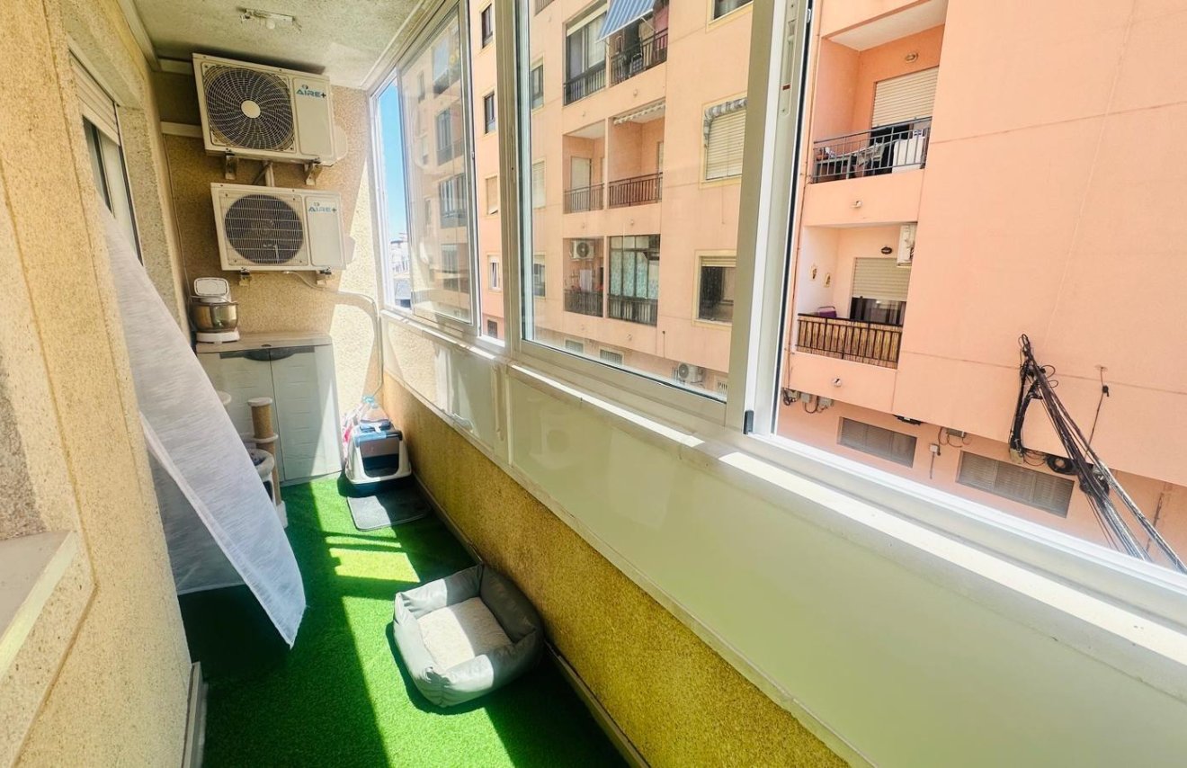 Revente - Apartamento - Torrevieja - Nueva Torrevieja