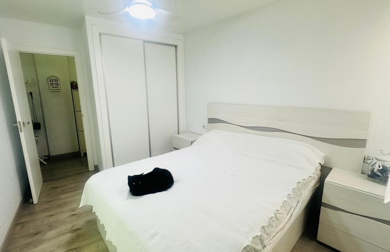Revente - Apartamento - Torrevieja - Nueva Torrevieja