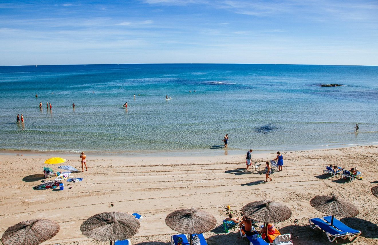 Reventa - Chalet - Orihuela Costa - PAU 8