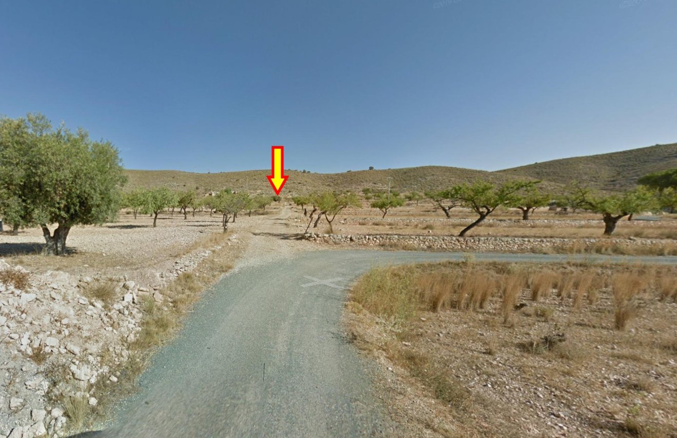 Revente - Terreno rural - Hondón de las Nieves - REBALSO