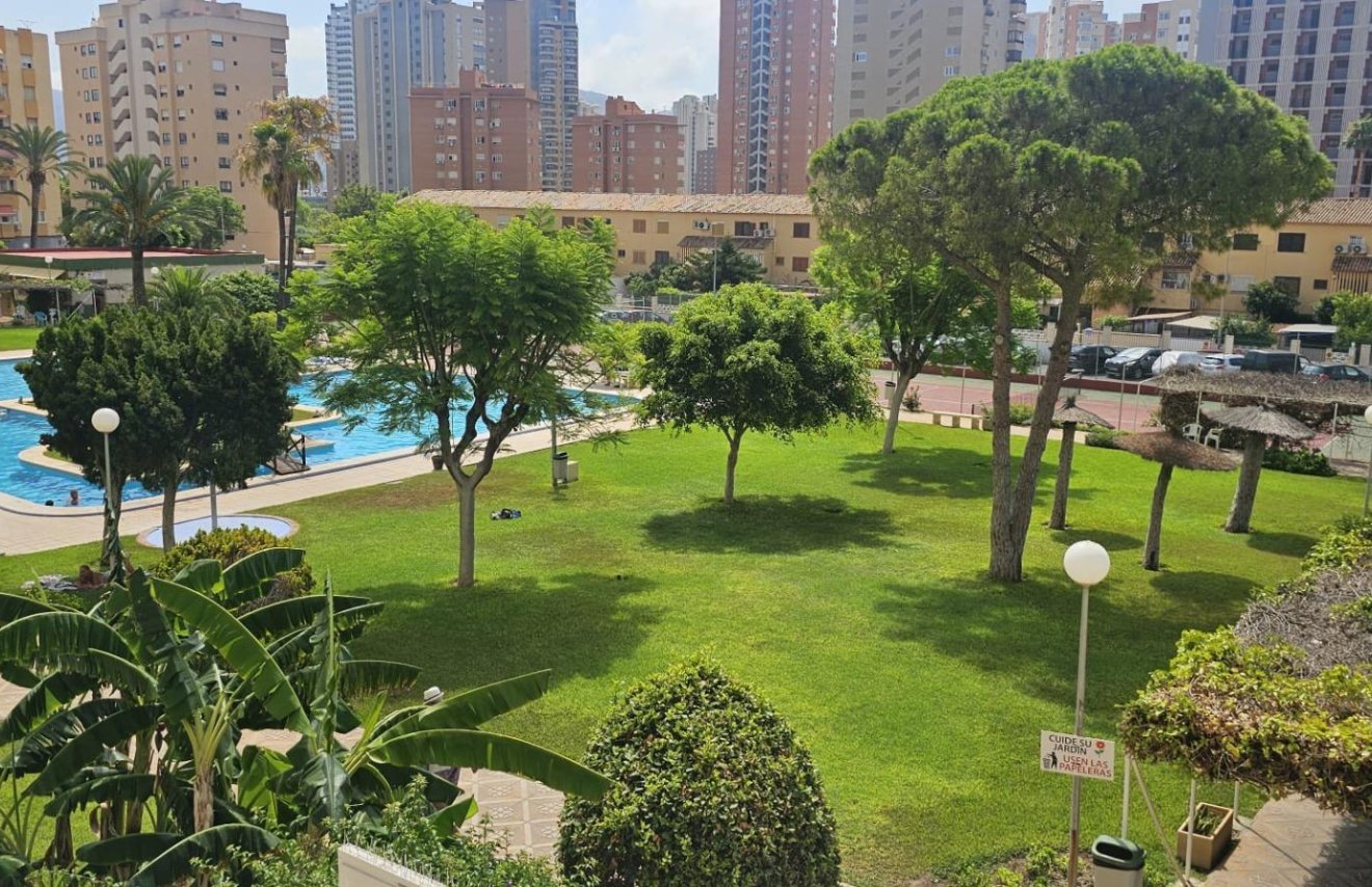 Revente - Apartamento - Benidorm