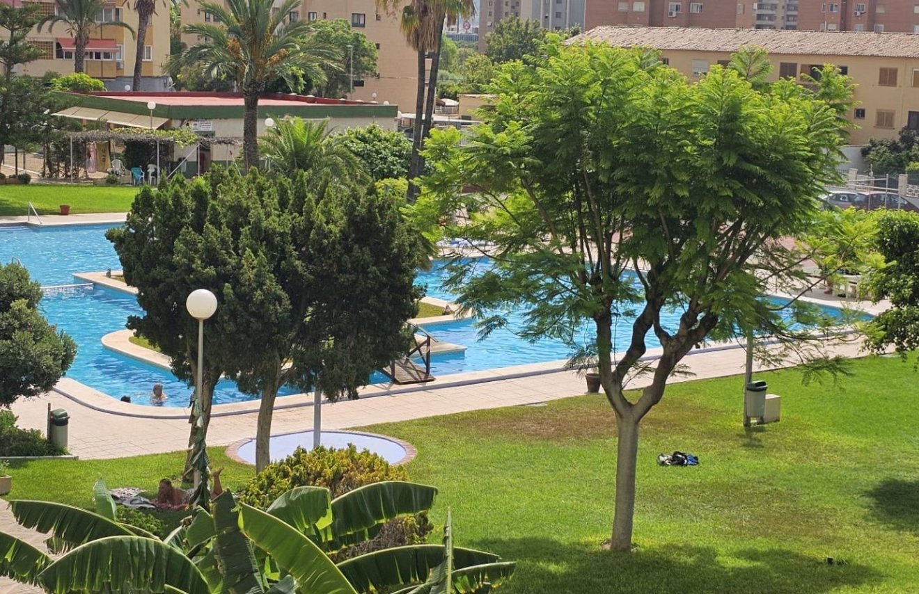 Revente - Apartamento - Benidorm