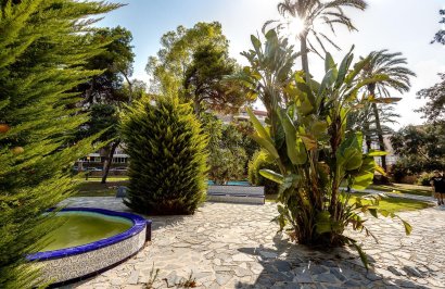 Revente - Apartamento - Torrevieja - Playa de los Naufragos