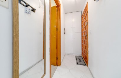 Revente - Étude - Torrevieja - Centro