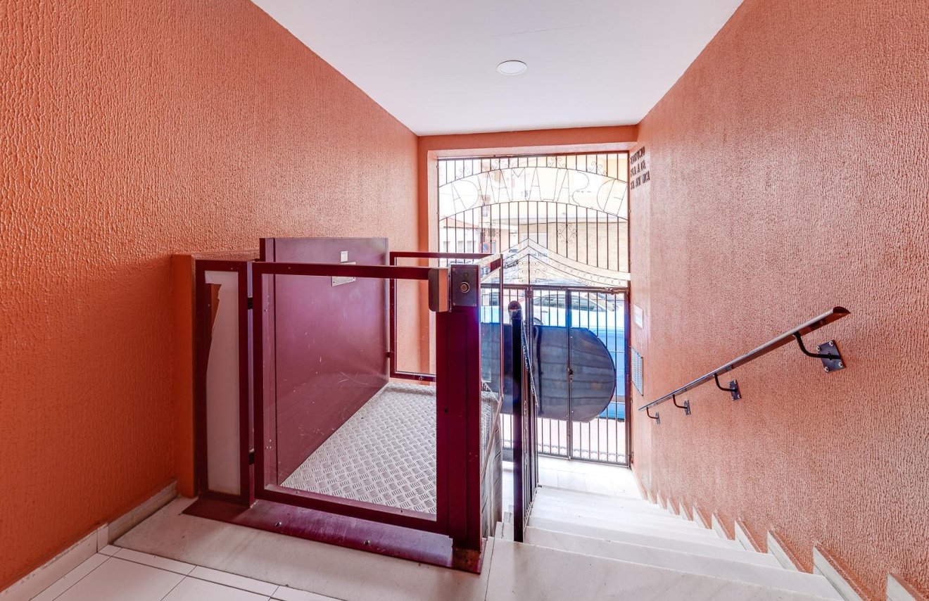 Revente - Étude - Torrevieja - Centro