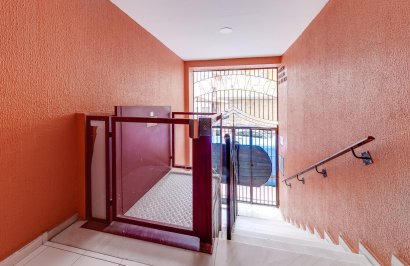 Revente - Étude - Torrevieja - Centro