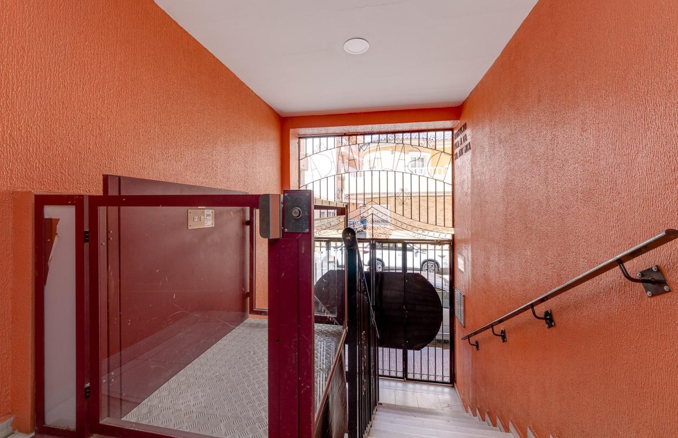 Revente - Étude - Torrevieja - Centro