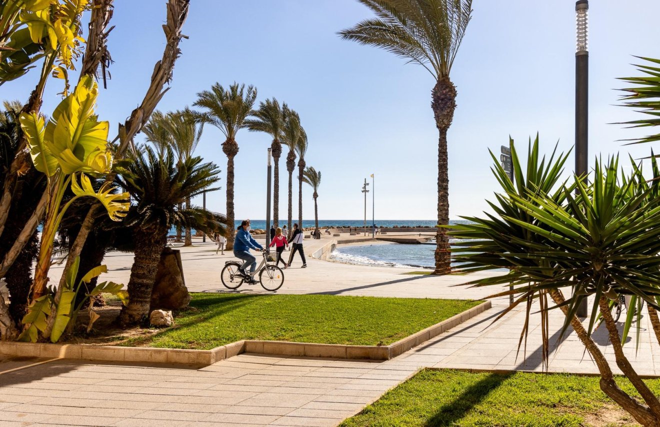 Revente - Étude - Torrevieja - Centro
