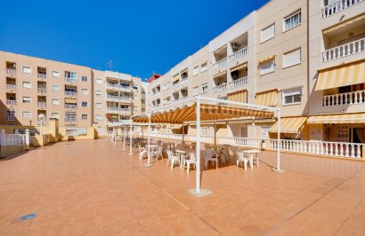 Revente - Apartamento - Torrevieja - Centro