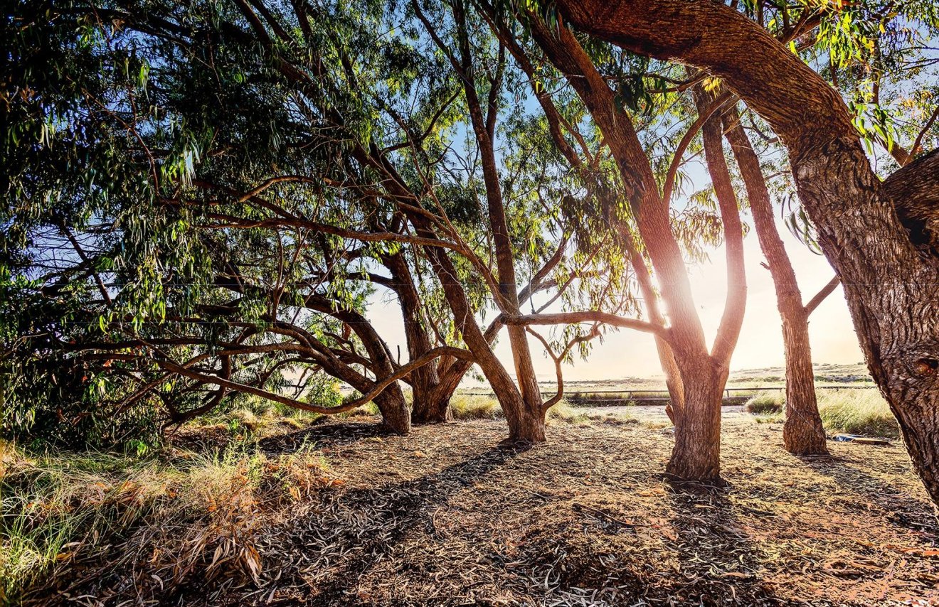 Reventa - Adosado - Torrevieja - Paraje natural