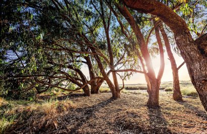 Reventa - Adosado - Torrevieja - Paraje natural